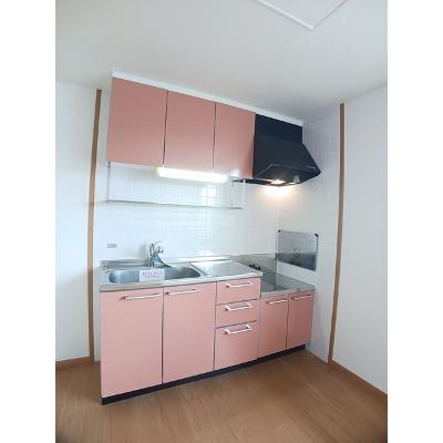 シャン．ド．フルール 203【管理NO：1-012433001-02030】 ★家具家電は申し込み後に搬入します★の物件画像
