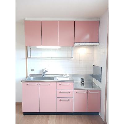 シャン．ド．フルール 103【管理NO：1-012433001-01030】 ★家具家電は申し込み後に搬入します★の物件画像