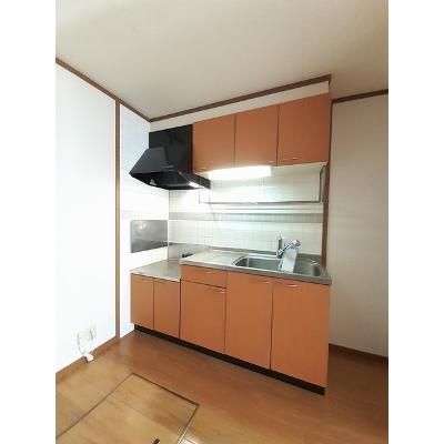 メゾン・ド・ファミール 102【管理NO：1-010262301-01020】 ★家具家電は申し込み後に搬入しますの物件画像