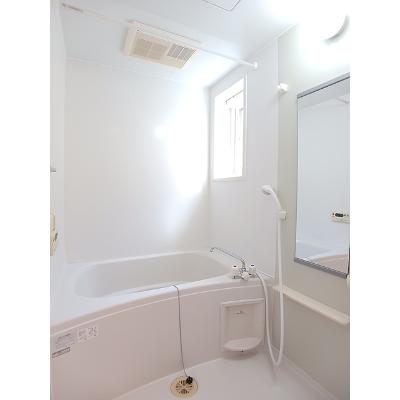 カーサ　セレノ 101【管理NO：1-013643801-01010】 ★家具家電は申し込み後に搬入します★の物件画像
