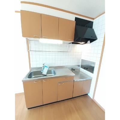 ドミール中通　Ａ 203【管理NO：1-012132801-02030】 ★家具家電は申し込み後に搬入します★の物件画像