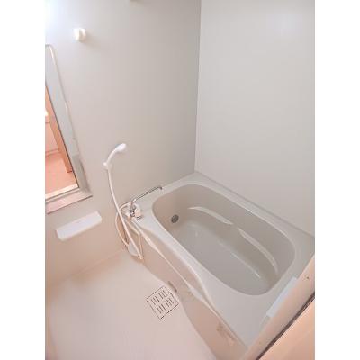 イルマーレ　Ｄ 101【管理NO：1-017924704-01010】 ★家具家電は申し込み後に搬入しますの物件画像