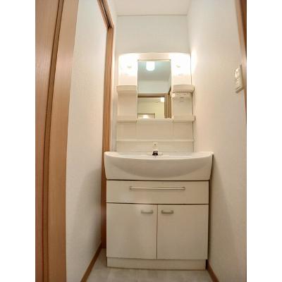 ダンデライオンＣ 103【管理NO：1-014191701-01030】 ★家具家電は申し込み後に搬入しますの物件画像