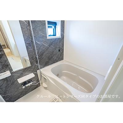 メゾンドグリシーヌ 203【管理NO：1-028505901-02030】 ★家具家電は申し込み後に搬入します★ ★2026年10月上旬入居可能★の物件画像