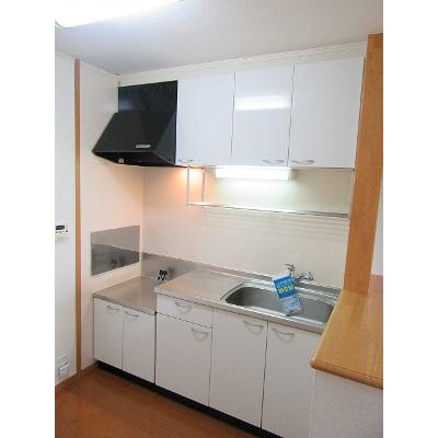 グレースカントリーⅡ 203【管理NO：1-013935102-02030】 ★家具家電は申し込み後に搬入しますの物件画像