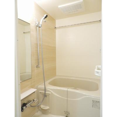 メインクーン 204【管理NO：1-026867001-02040】 ★家具家電は申し込み後に搬入します★の物件画像