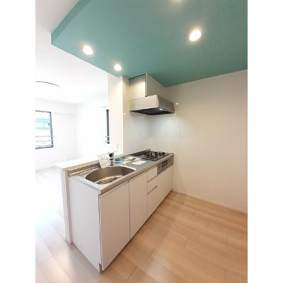 エーデルワイス 203【管理NO：1-025825601-02030】 ★家具家電は申し込み後に搬入します★の物件画像