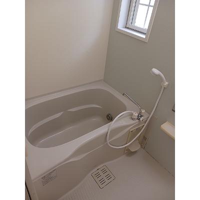ベル・ラフレシール 203【管理NO：1-015218901-02030】 ★家具家電は申し込み後に搬入します★の物件画像