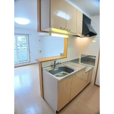 カノン・エス 202【管理NO：1-015157001-02020】 ★家具家電は申し込み後に搬入します★の物件画像