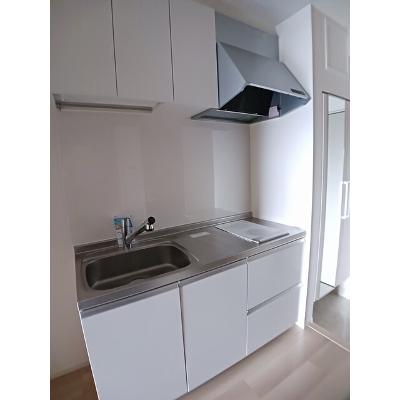 フィオーレ降松Ｍ＆Ｓ 302【管理NO：1-027477401-03020】 ★家具家電は申し込み後に搬入しますの物件画像