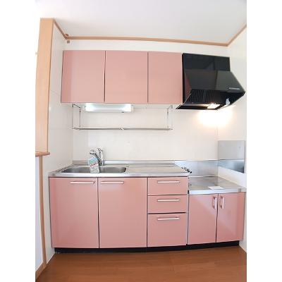 サンパティーク 205【管理NO：1-012704701-02040】 ★家具家電は申し込み後に搬入します★の物件画像
