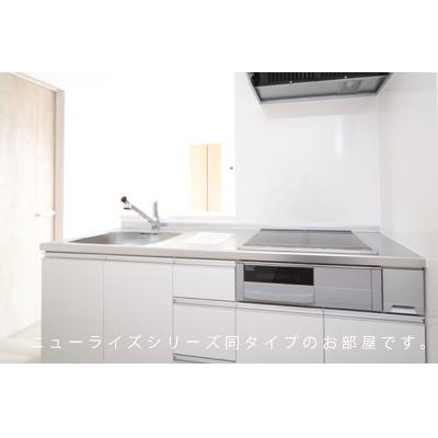 カプリコーン 203【管理NO：1-027350501-02030】 ★家具家電は申し込み後に搬入します★ ★2026年11月下旬入居可能★の物件画像