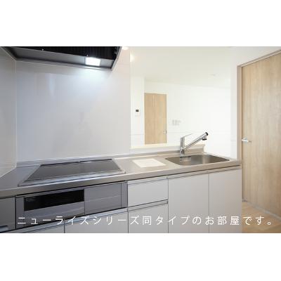 カプリコーン 202【管理NO：1-027350501-02020】 ★家具家電は申し込み後に搬入します★ ★2026年11月下旬入居可能★の物件画像