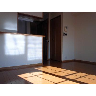 アルドーレ　壱番館 202【管理NO：1-013683901-02020】 ★家具家電は申し込み後に搬入します 2026年07月上旬入居可能の物件画像