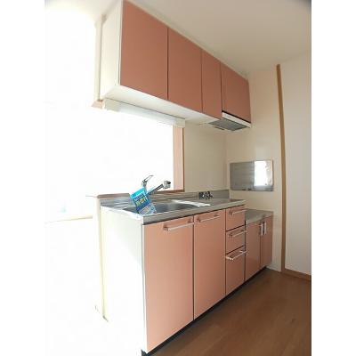 フィオーレＡ 102【管理NO：1-013449301-01020】 ★家具家電は申し込み後に搬入します★の物件画像