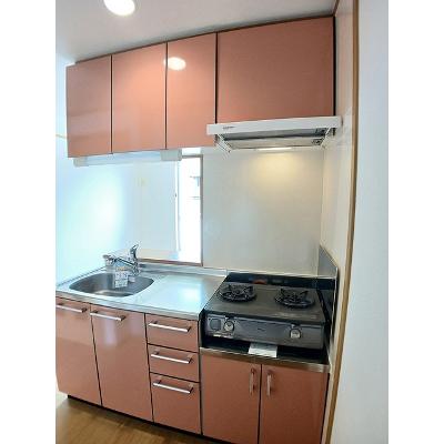 南町ニューグリーンハイム 203【管理NO：1-012965201-02030】 ★家具家電は申し込み後に搬入しますの物件画像
