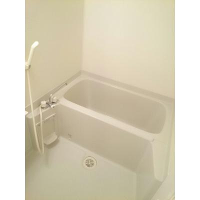 ソフィア 201【管理NO：1-014044701-02010】 ★家具家電は申し込み後に搬入しますの物件画像