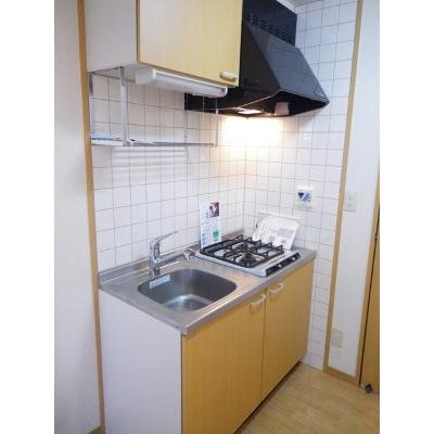 パークサイドパレス 203【管理NO：1-012126401-02030】 ★家具家電は申し込み後に搬入します 2026年08月下旬入居可能の物件画像