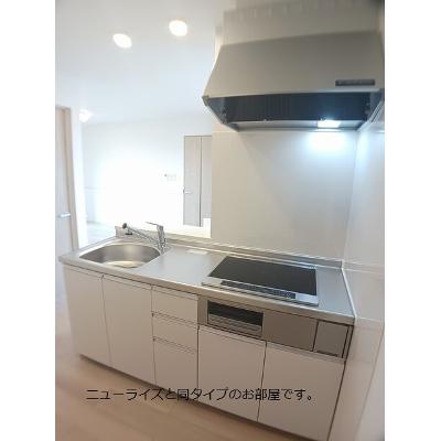 ホワイト　フォックス　Ⅱ 203【管理NO：1-028349202-02030】 ★家具家電は申し込み後に搬入します 2026年09月上旬入居可能の物件画像