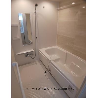 ホワイト　フォックス　Ⅱ 203【管理NO：1-028349202-02030】 ★家具家電は申し込み後に搬入します 2026年09月上旬入居可能の物件画像