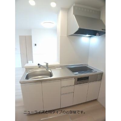 ホワイト　フォックス　Ⅱ 103【管理NO：1-028349202-01030】 ★家具家電は申し込み後に搬入します 2026年09月上旬入居可能の物件画像