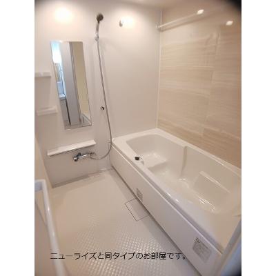 ホワイト　フォックス　Ⅱ 102【管理NO：1-028349202-01020】 ★家具家電は申し込み後に搬入します 2026年09月上旬入居可能の物件画像