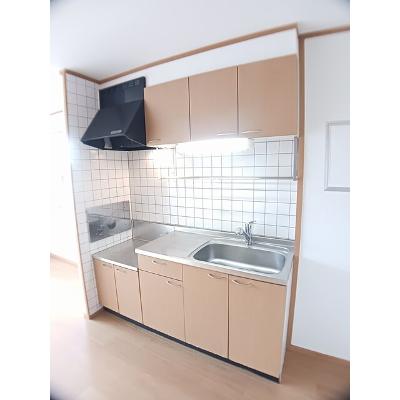 ミニョンひな 203【管理NO：1-012060801-02030】 ★家具家電は申し込み後に搬入しますの物件画像