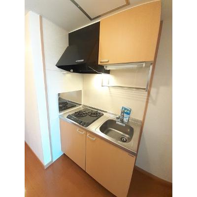 ポラリス 302【管理NO：1-012718501-03020】 ★家具家電は申し込み後に搬入します★の物件画像