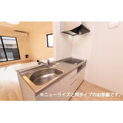 ラ・ルーチェ 204【管理NO：1-028670001-02040】 ★家具家電は申し込み後に搬入します★ ★2026年09月下旬入居可能★の物件画像