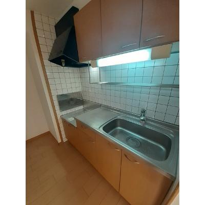 カリダ　ウェントゥス 103【管理NO：1-011555401-01030】 ★家具家電は申し込み後に搬入しますの物件画像