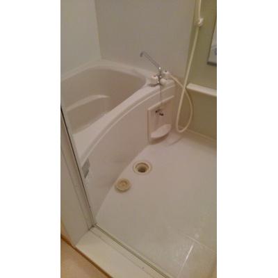 ビエント　パラーシオ 202【管理NO：1-014104101-02020】 ★家具家電は申し込み後に搬入しますの物件画像