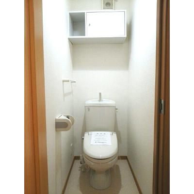 スカイパインＢ 205【管理NO：1-013762902-02040】 ★家具家電は申し込み後に搬入します★の物件画像