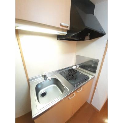 レジェンド・ヒル　ＯＧ　Ⅵ 307【管理NO：1-013407201-03060】 ★家具家電は申し込み後に搬入しますの物件画像