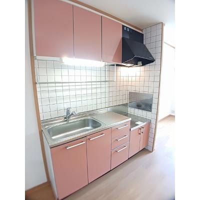 フォンターナ　フェリチータＣ 203【管理NO：1-012540903-02030】 ★家具家電は申し込み後に搬入しますの物件画像
