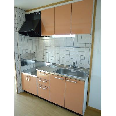 メゾン　ド　ジャスミン 202【管理NO：1-012449501-02020】 ★家具家電は申し込み後に搬入します★の物件画像