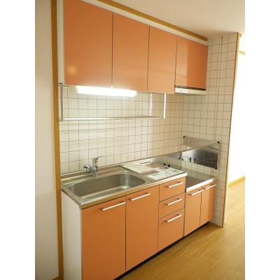 シャイニー・ウィングス　Ｂ 203【管理NO：1-011912302-02030】 ★家具家電は申し込み後に搬入しますの物件画像