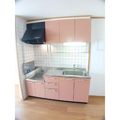 シャイニー・ウィングス　Ｂ 201【管理NO：1-011912302-02010】 ★家具家電は申し込み後に搬入しますの物件画像