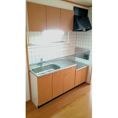 グリーン　ゲイブルズ　Ⅱ番館 203【管理NO：1-011691402-02030】 ★家具家電は申し込み後に搬入しますの物件画像