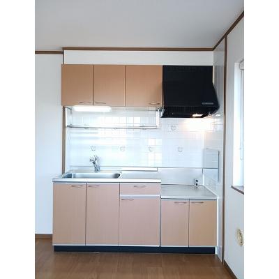 ミニヨン　Ｋ・Ｔ 201【管理NO：1-011368201-02010】 ★家具家電は申し込み後に搬入しますの物件画像