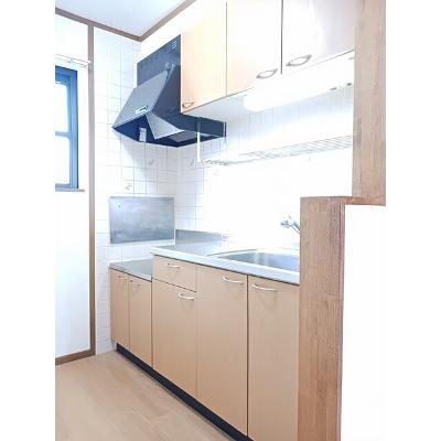コモド　パラッツォ 203【管理NO：1-010965801-02030】 ★家具家電は申し込み後に搬入しますの物件画像