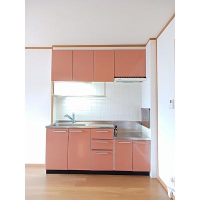サンライズＣ 203【管理NO：1-012311203-02030】 ★家具家電は申し込み後に搬入しますの物件画像