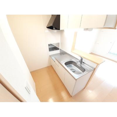 アヴェンタドール 205【管理NO：1-019173101-02040】 ★家具家電は申し込み後に搬入します★の物件画像