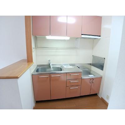 ペンサミエントＣ 203【管理NO：1-012748003-02030】 ★家具家電は申し込み後に搬入します★の物件画像