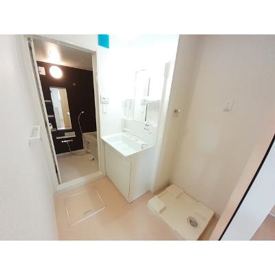 メーシャイン 203【管理NO：1-021797301-02030】 ★家具家電は申し込み後に搬入します★の物件画像