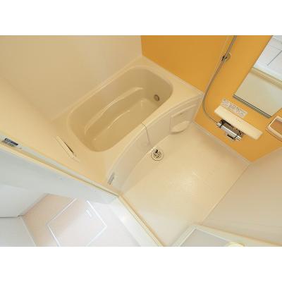ソフィア．ＹＭ　Ⅱ 202【管理NO：1-021628901-02020】 ★家具家電は申し込み後に搬入します 2026年08月中旬入居可能の物件画像