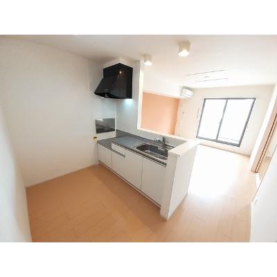 サングローヴＡ 202【管理NO：1-020065101-02020】 ★家具家電は申し込み後に搬入しますの物件画像