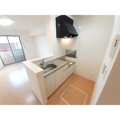 メゾン・ド・グレイス 103【管理NO：1-019224001-01030】 ★家具家電は申し込み後に搬入します★の物件画像