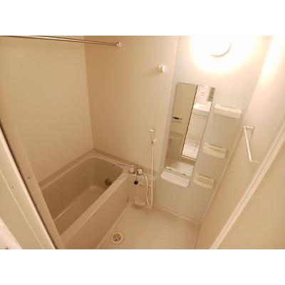 エヴァーグリーン　アース　２１ 203【管理NO：1-015092302-02030】 ★家具家電は申し込み後に搬入しますの物件画像