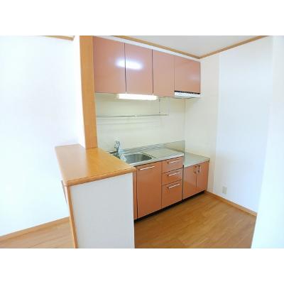 チェルシーⅠ 203【管理NO：1-012852101-02030】 ★家具家電は申し込み後に搬入します★の物件画像
