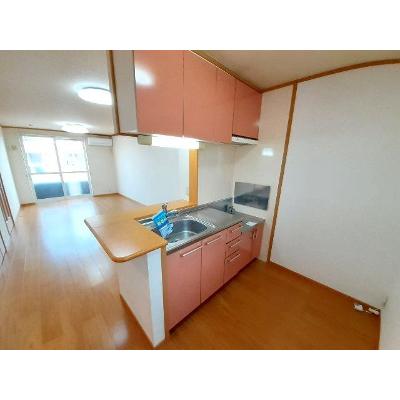 クリスマスローズⅢ 102【管理NO：1-012719602-01020】 ★家具家電は申し込み後に搬入します★の物件画像